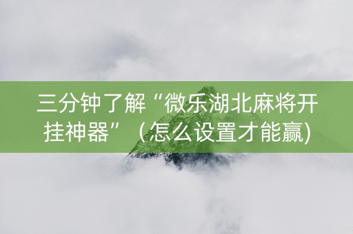 三分钟了解“微乐湖北麻将开挂神器”（怎么设置才能赢)
