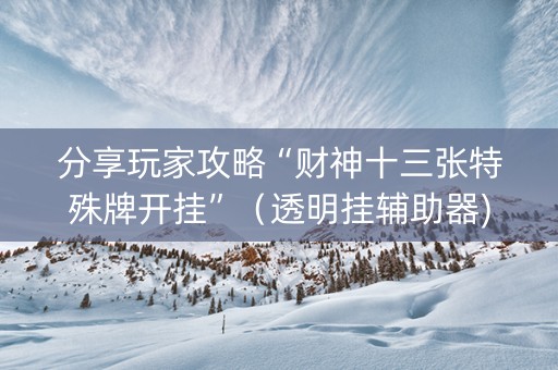 分享玩家攻略“财神十三张特殊牌开挂”（透明挂辅助器)