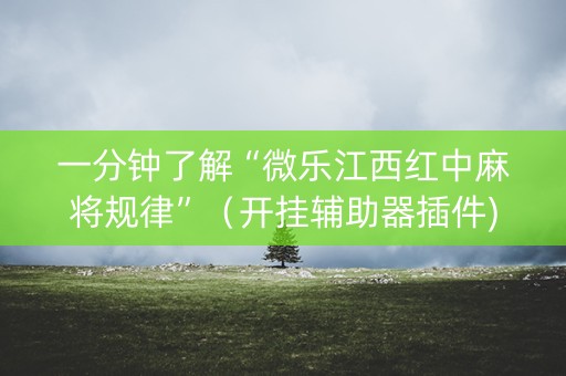 一分钟了解“微乐江西红中麻将规律”（开挂辅助器插件)