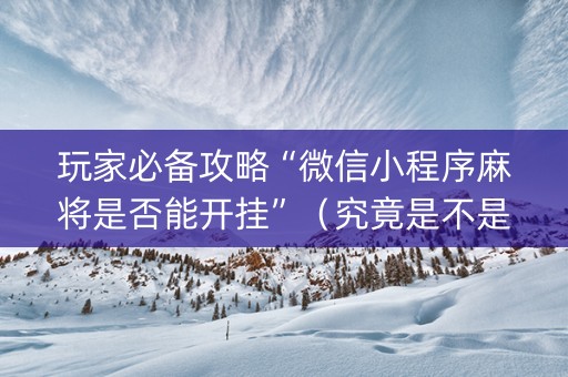 玩家必备攻略“微信小程序麻将是否能开挂”（究竟是不是有挂)