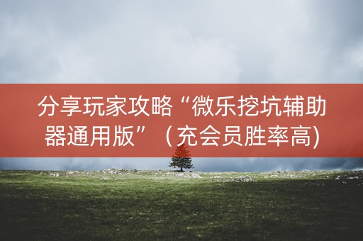 分享玩家攻略“微乐挖坑辅助器通用版”（充会员胜率高)