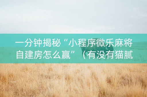 一分钟揭秘“小程序微乐麻将自建房怎么赢”（有没有猫腻)