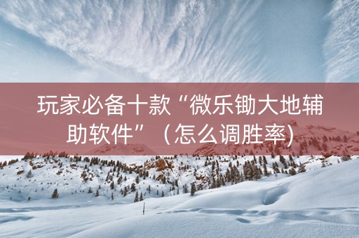 玩家必备十款“微乐锄大地辅助软件”（怎么调胜率)