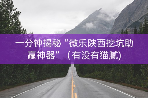 一分钟揭秘“微乐陕西挖坑助赢神器”（有没有猫腻)