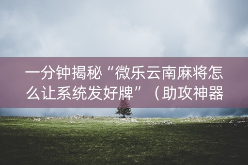 一分钟揭秘“微乐云南麻将怎么让系统发好牌”（助攻神器)