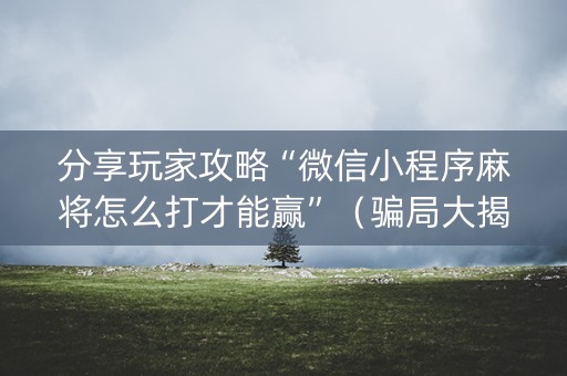 分享玩家攻略“微信小程序麻将怎么打才能赢”（骗局大揭秘)