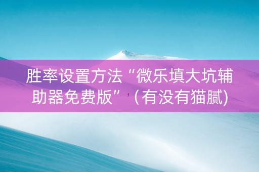 胜率设置方法“微乐填大坑辅助器免费版”（有没有猫腻)