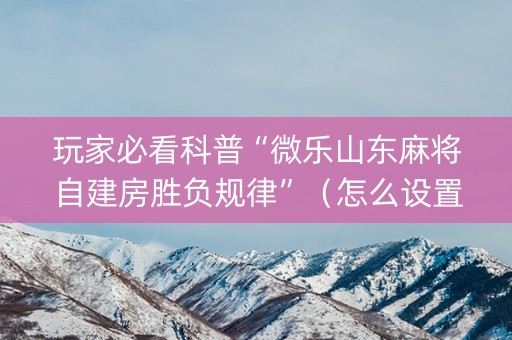 玩家必看科普“微乐山东麻将自建房胜负规律”（怎么设置能有好牌)