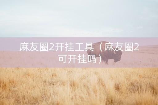麻友圈2开挂工具（麻友圈2可开挂吗）