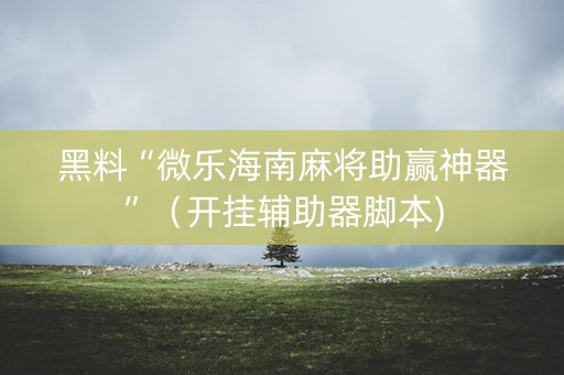 黑料“微乐海南麻将助赢神器”（开挂辅助器脚本)