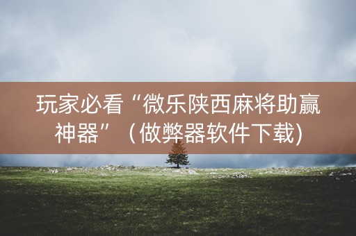 玩家必看“微乐陕西麻将助赢神器”（做弊器软件下载)