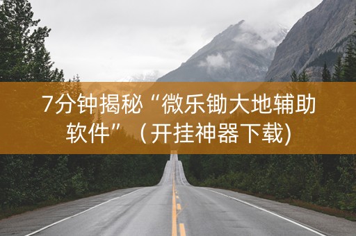 7分钟揭秘“微乐锄大地辅助软件”（开挂神器下载)