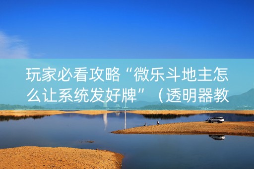 玩家必看攻略“微乐斗地主怎么让系统发好牌”（透明器教程)
