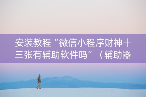 安装教程“微信小程序财神十三张有辅助软件吗”（辅助器插件)