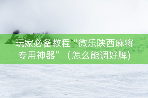 玩家必备教程“微乐陕西麻将专用神器”（怎么能调好牌)