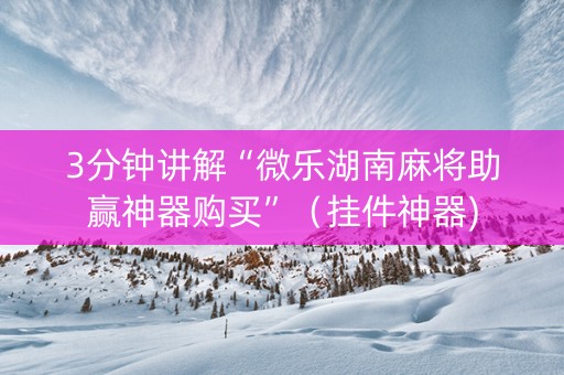3分钟讲解“微乐湖南麻将助赢神器购买”（挂件神器)