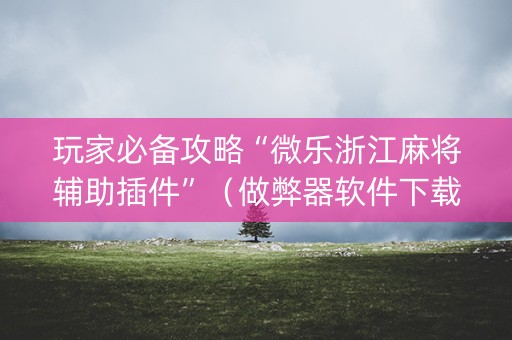 玩家必备攻略“微乐浙江麻将辅助插件”（做弊器软件下载)