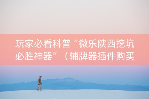 玩家必看科普“微乐陕西挖坑必胜神器”（辅牌器插件购买)