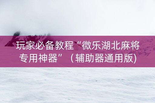 玩家必备教程“微乐湖北麻将专用神器”（辅助器通用版)