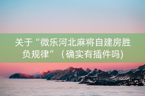 关于“微乐河北麻将自建房胜负规律”（确实有插件吗)
