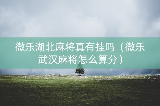 微乐湖北麻将真有挂吗（微乐武汉麻将怎么算分）