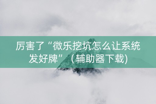 厉害了“微乐挖坑怎么让系统发好牌”（辅助器下载)
