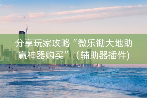 分享玩家攻略“微乐锄大地助赢神器购买”（辅助器插件)