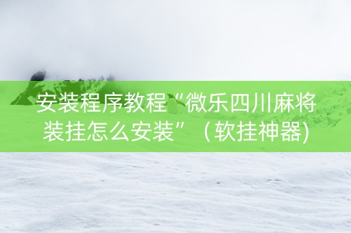 安装程序教程“微乐四川麻将装挂怎么安装”（软挂神器)