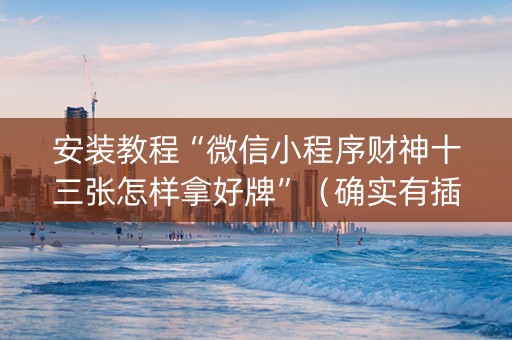 安装教程“微信小程序财神十三张怎样拿好牌”（确实有插件吗)