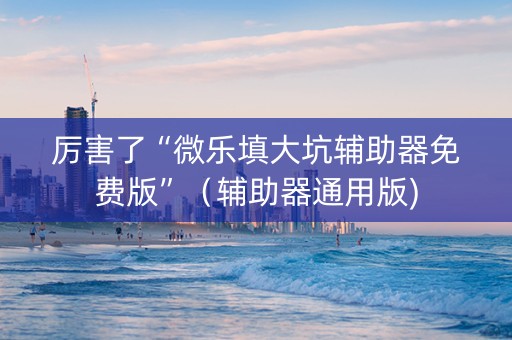 厉害了“微乐填大坑辅助器免费版”（辅助器通用版)