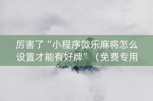 厉害了“小程序微乐麻将怎么设置才能有好牌”（免费专用神器)