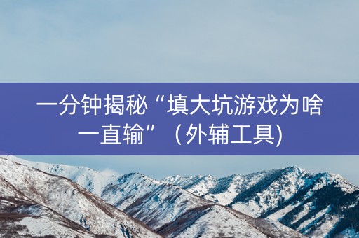 一分钟揭秘“填大坑游戏为啥一直输”（外辅工具)