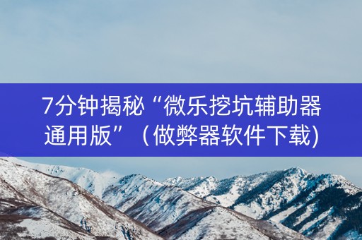 7分钟揭秘“微乐挖坑辅助器通用版”（做弊器软件下载)