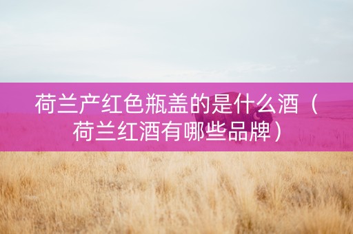 荷兰产红色瓶盖的是什么酒（荷兰红酒有哪些品牌）