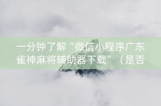 一分钟了解“微信小程序广东雀神麻将辅助器下载”（是否能开挂)