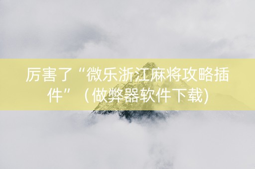 厉害了“微乐浙江麻将攻略插件”（做弊器软件下载)