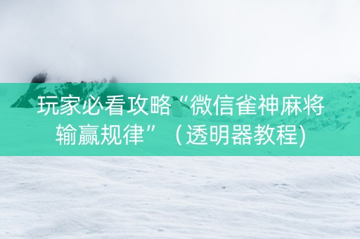 玩家必看攻略“微信雀神麻将输赢规律”（透明器教程)