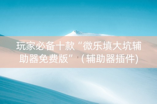 玩家必备十款“微乐填大坑辅助器免费版”（辅助器插件)