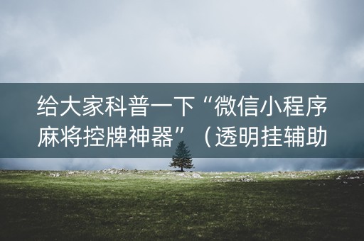 给大家科普一下“微信小程序麻将控牌神器”（透明挂辅助器)