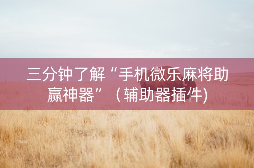 三分钟了解“手机微乐麻将助赢神器”（辅助器插件)