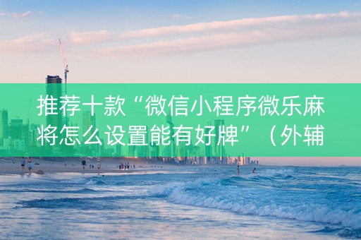 推荐十款“微信小程序微乐麻将怎么设置能有好牌”（外辅工具)