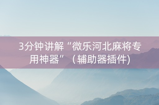 3分钟讲解“微乐河北麻将专用神器”（辅助器插件)