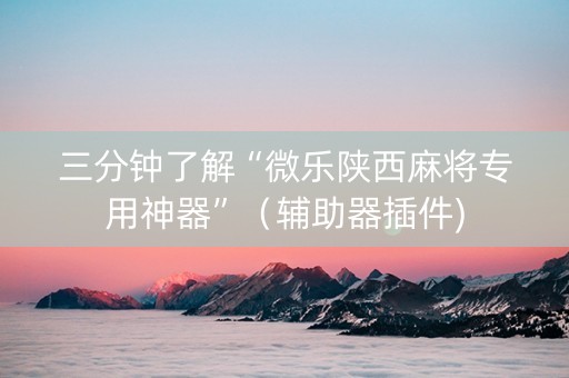 三分钟了解“微乐陕西麻将专用神器”（辅助器插件)