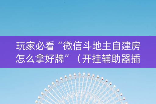 玩家必看“微信斗地主自建房怎么拿好牌”（开挂辅助器插件)