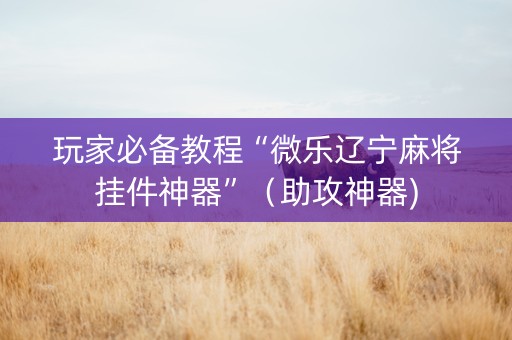 玩家必备教程“微乐辽宁麻将挂件神器”（助攻神器)