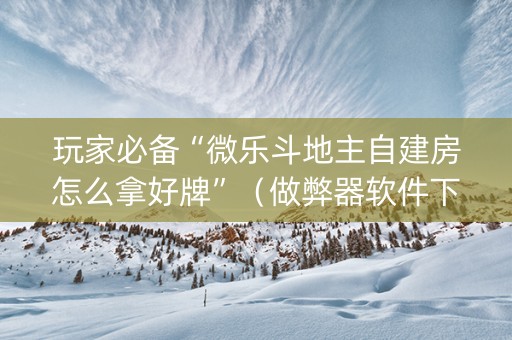 玩家必备“微乐斗地主自建房怎么拿好牌”（做弊器软件下载)