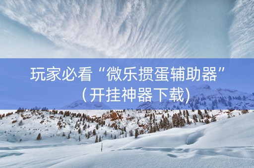 玩家必看“微乐掼蛋辅助器”（开挂神器下载)