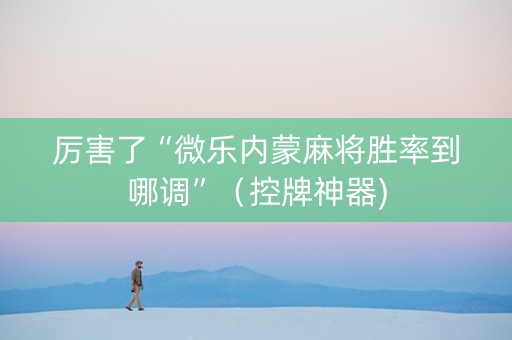 厉害了“微乐内蒙麻将胜率到哪调”（控牌神器)