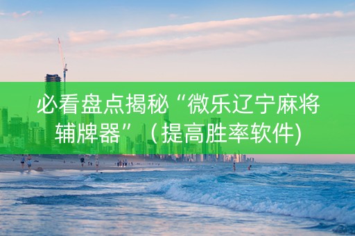 必看盘点揭秘“微乐辽宁麻将辅牌器”（提高胜率软件)