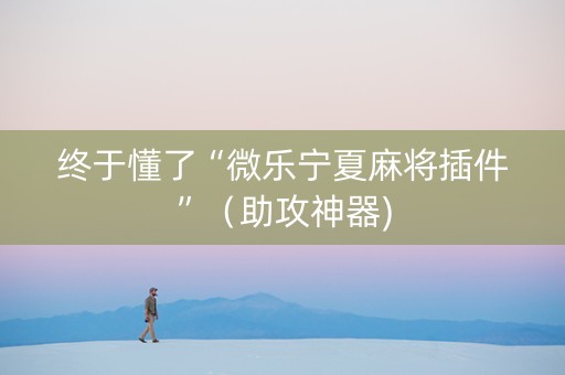 终于懂了“微乐宁夏麻将插件”（助攻神器)